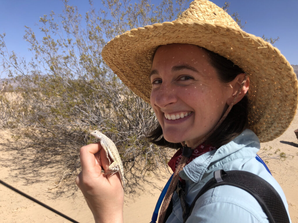 Assisting a graduate student with herpetological fieldwork in the Mojave.